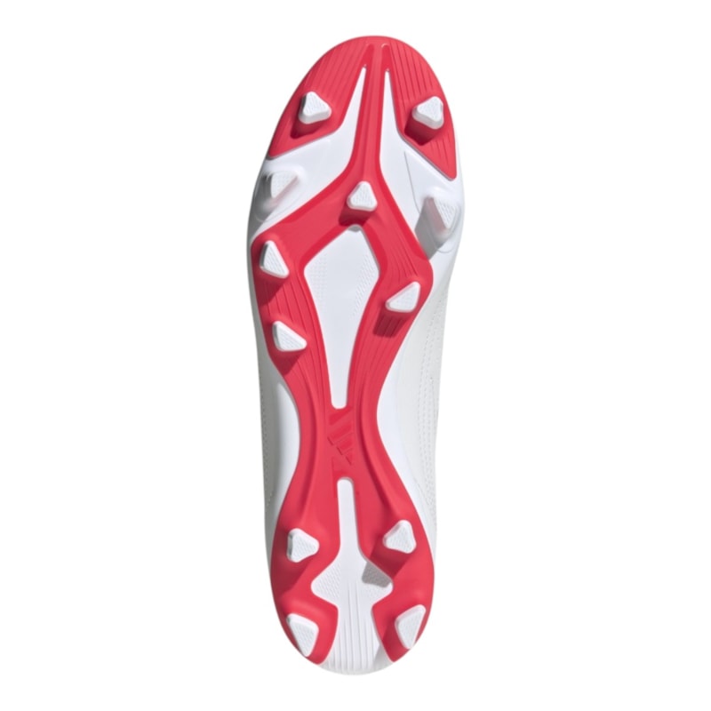 image_a5ece625-8b16-45cc-bbf0-ae7c477732c2