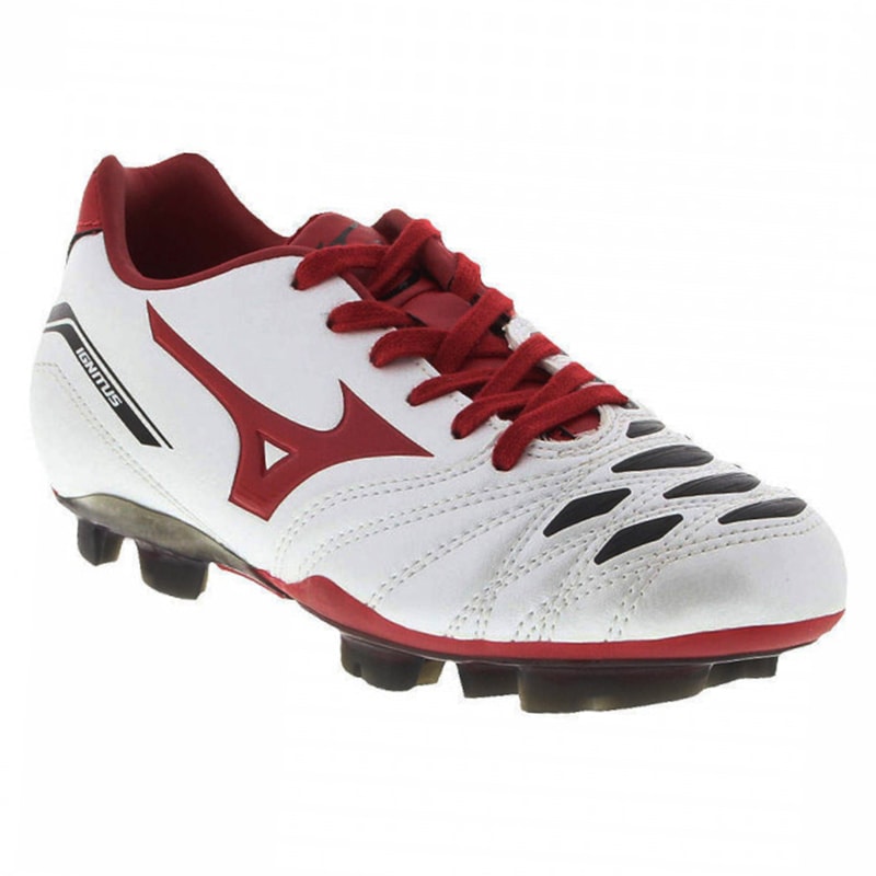 image_70f387e0-d0b0-43e9-aeca-330ca95d151a