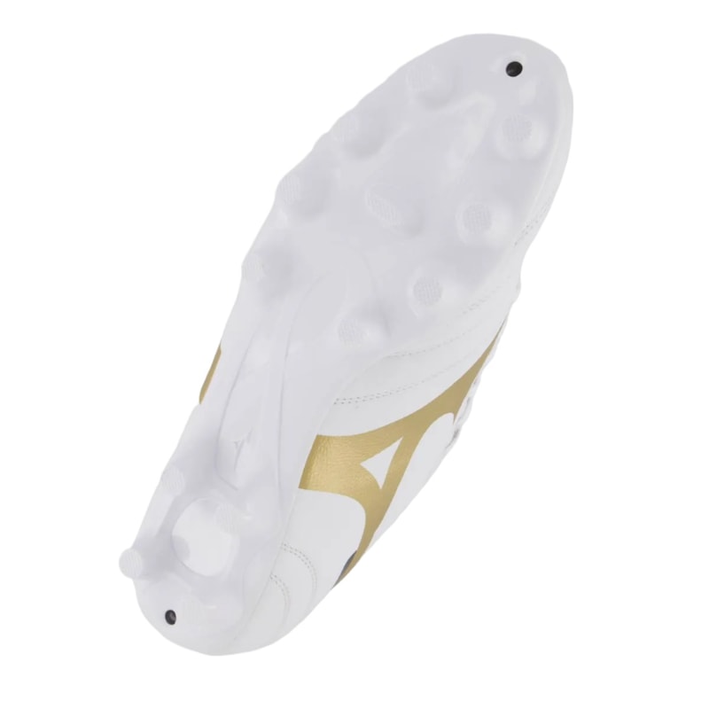 image_082dbce9-d177-40b6-85a6-e95b7cd46a46