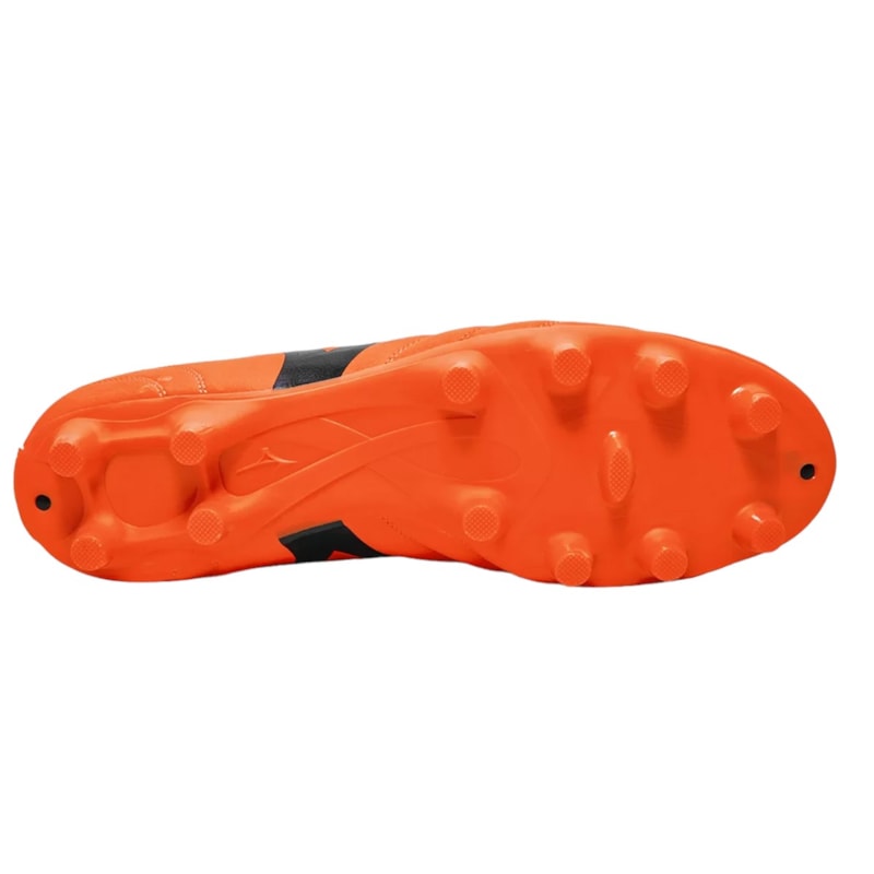 image_44bd2918-f172-416b-b7ae-5881559f55b7