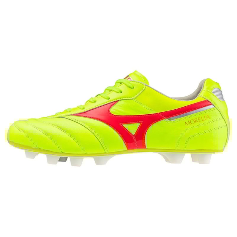 image_1b23a2a0-f6f3-4b6a-b407-d796dd49cddb