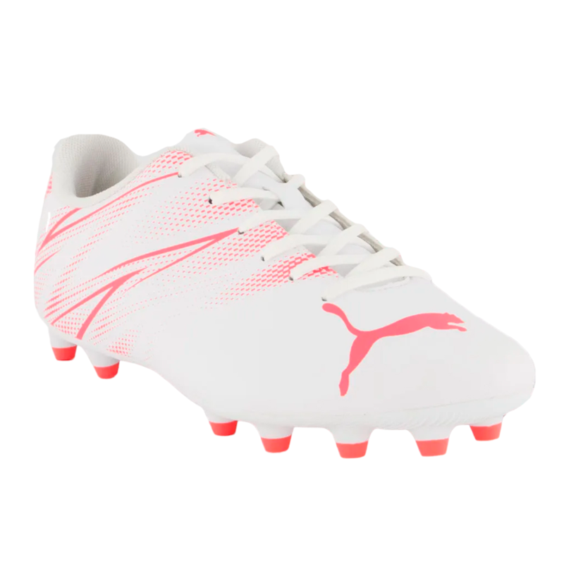 image_e3971b41-53c4-4e30-9458-95cc21df7f5c