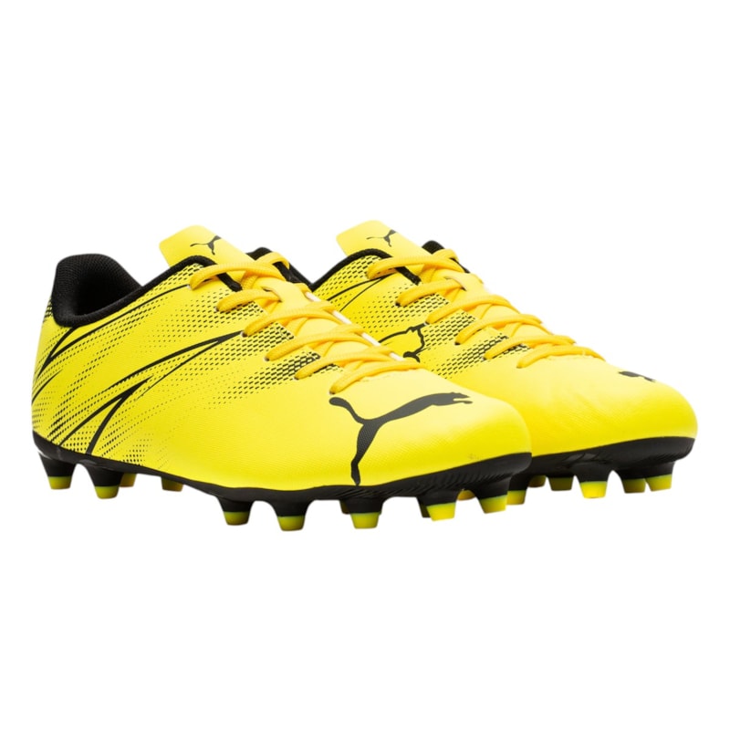 image_aac6ef74-702b-418f-9eb3-01b9db52301f