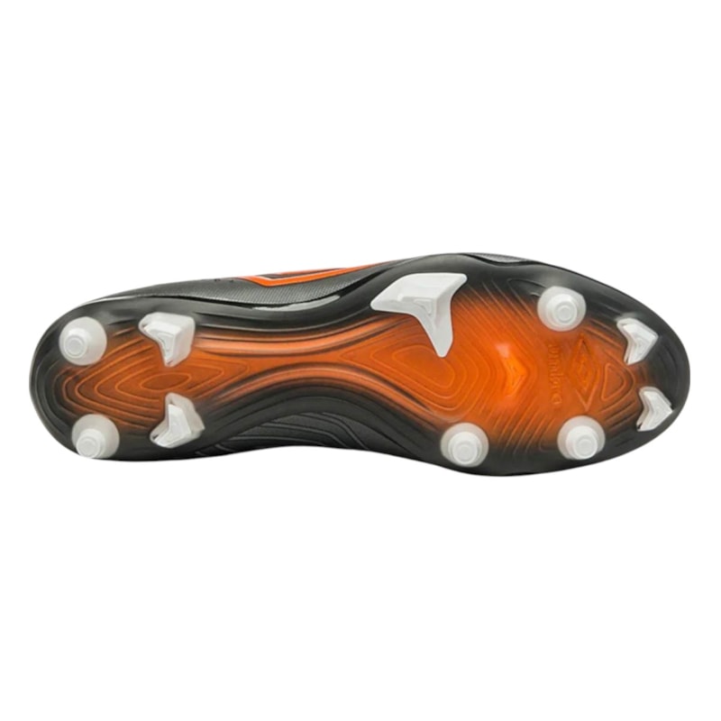 image_091e41d1-c59f-40ac-ae4e-33dd0723cf1d