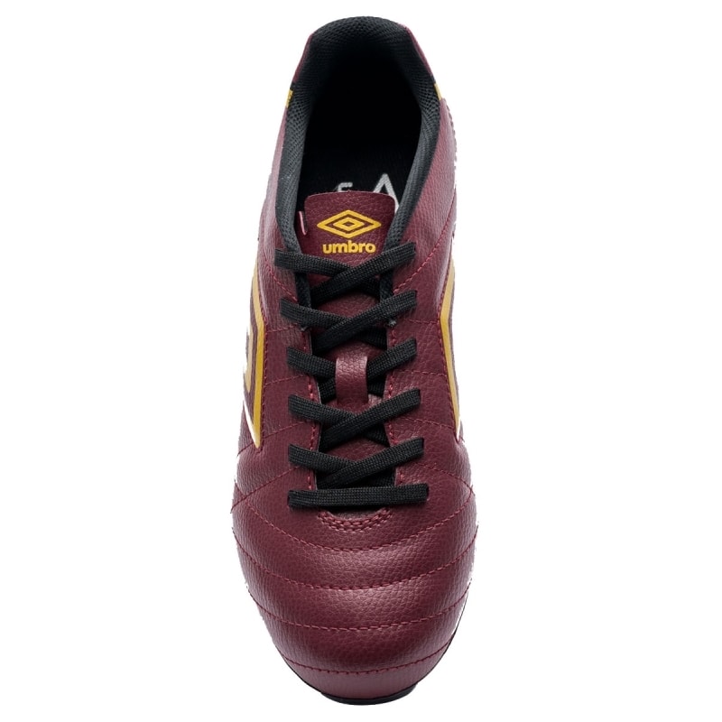 image_249b9850-776d-4023-a801-3f4d1da89e75