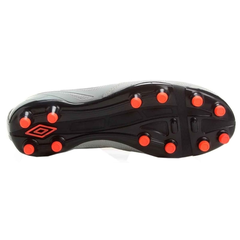 image_9791ff3b-7ea1-4283-94b6-0392ee81ec05