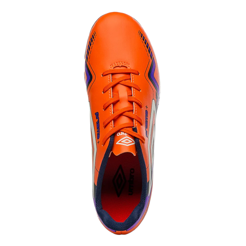 image_fa49156e-a6f9-4ee2-b4e5-35d865c2620c