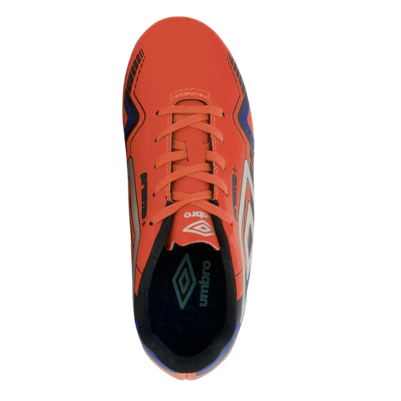 image_cd125f41-d07b-426f-bf33-84c845c97d3f