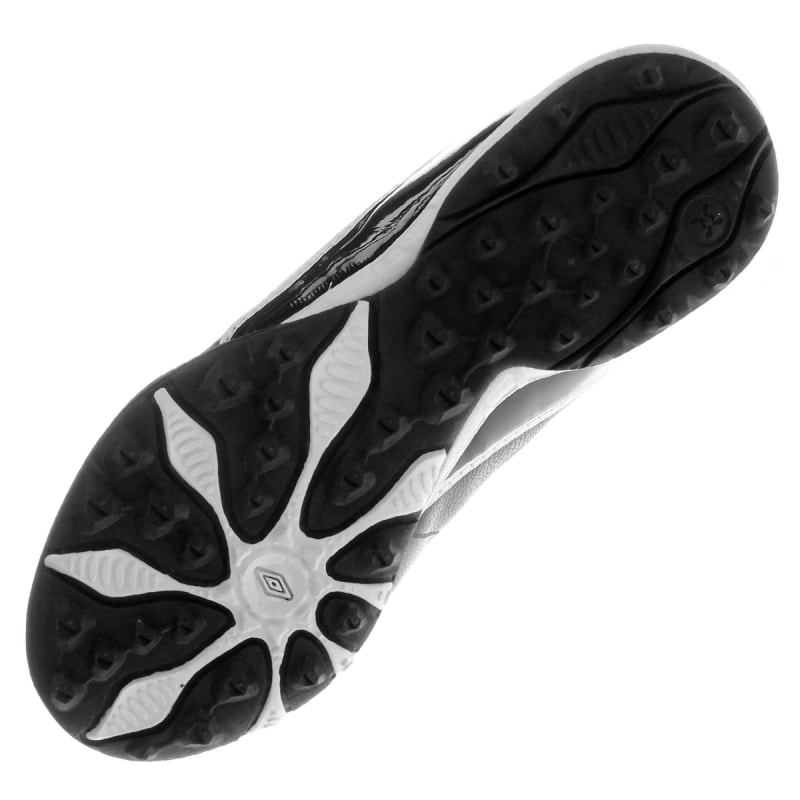 image_c1afaac8-539c-41ac-b807-490a62f4b769