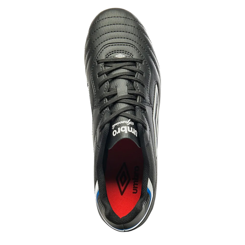 image_49ce9bc9-fb39-44c0-a132-5a98903c942f