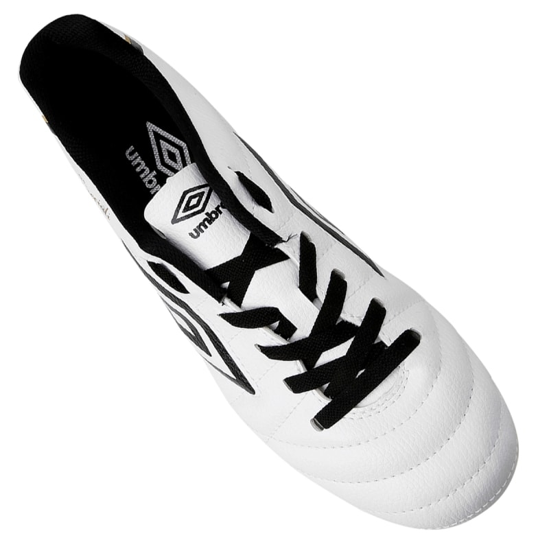 image_24c9f45b-e4c7-4f55-bca8-979c71aa4d8f