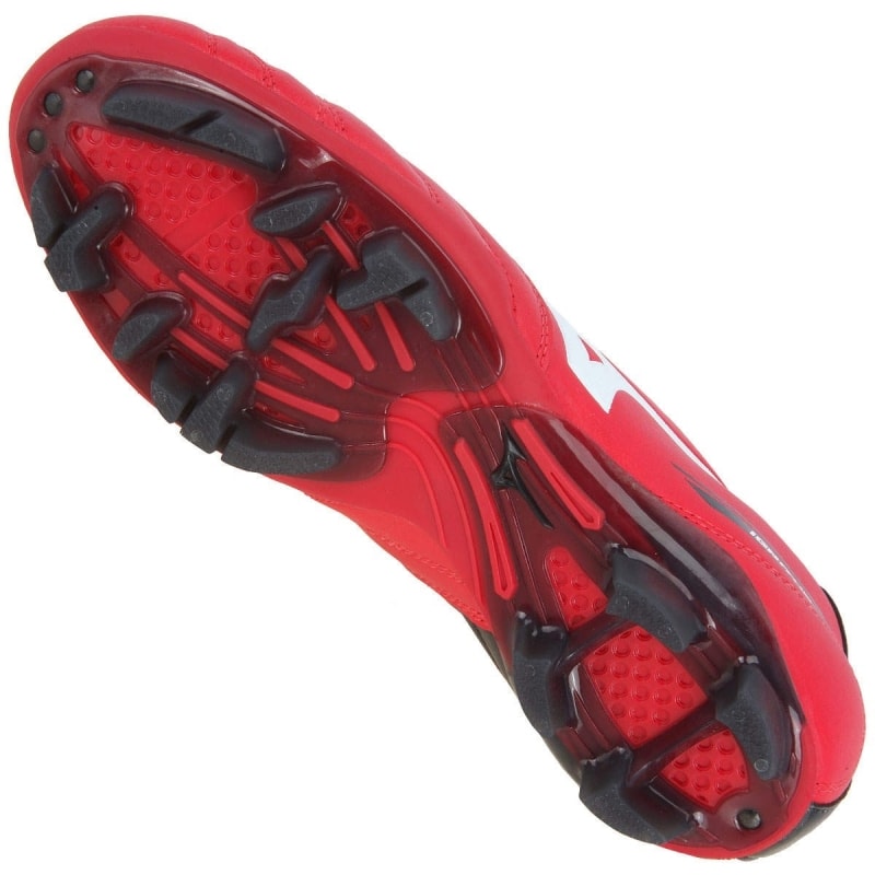 image_0fbd8f80-ea09-498c-9d14-e653295a4128