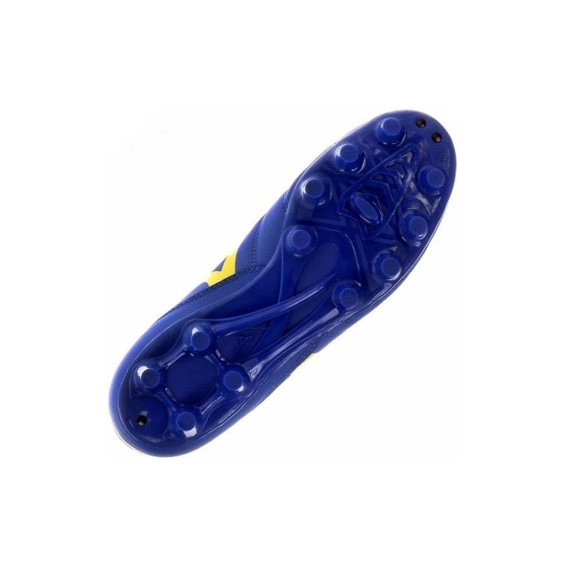 image_6e9606db-c25c-4e59-b201-76639f04478c