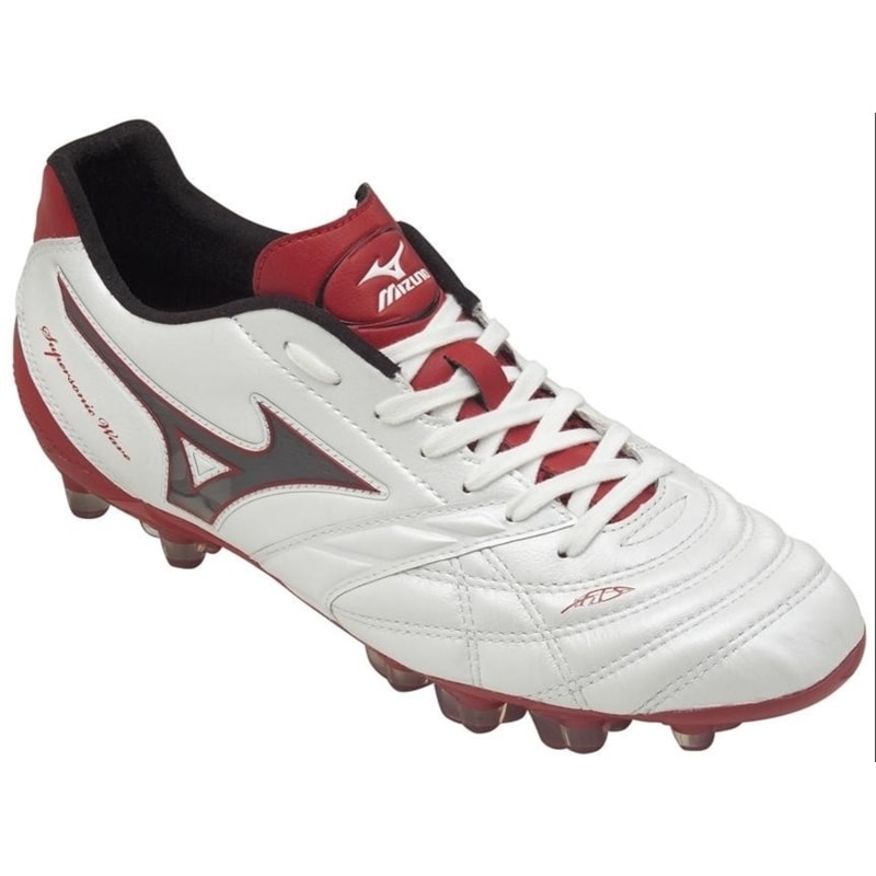 image_f9d09328-d717-4182-b4c5-271da4a6364d