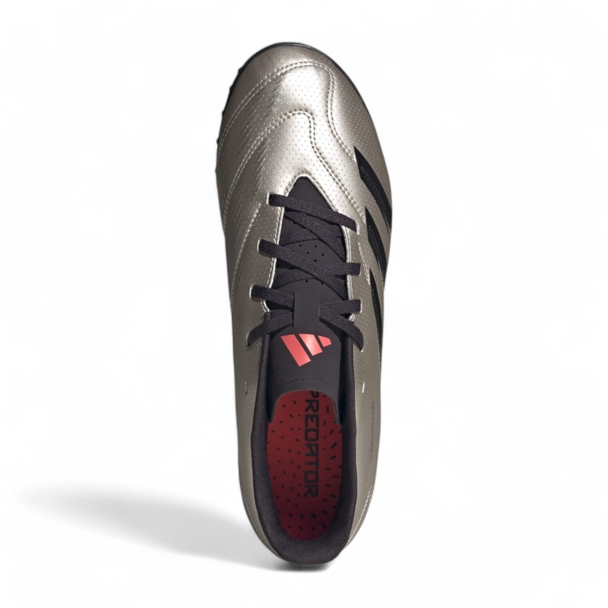Chuteira Society Adidas Predator 24 Club
