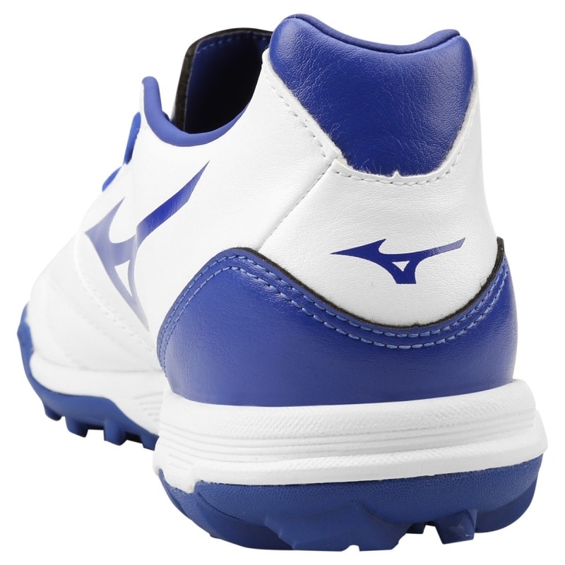 image_40343fd9-d4b6-492c-b418-5bd2fad8fb6a