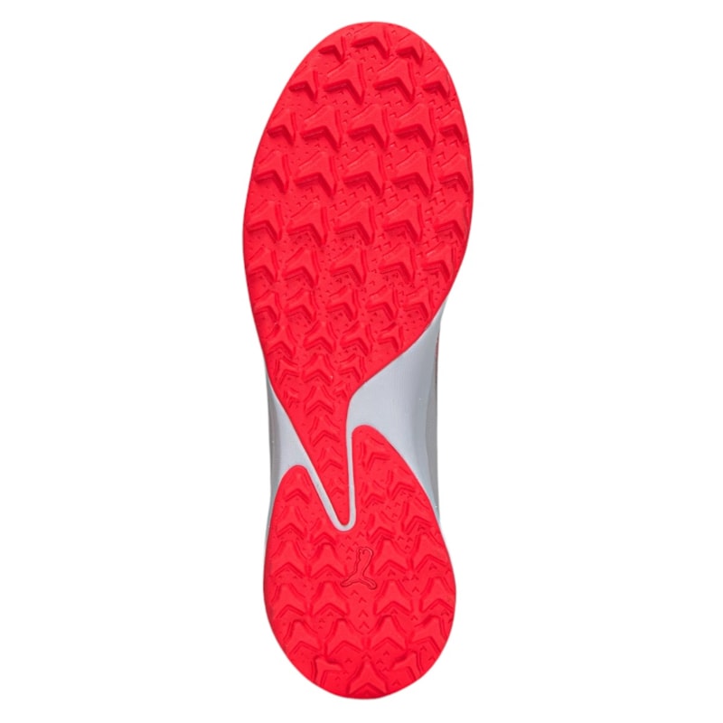 image_e88d22bd-f48e-4d49-8117-84836603a12d