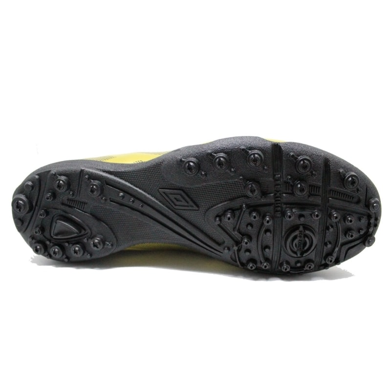 image_37431fdb-a196-4429-a2f2-0b4037e019b5