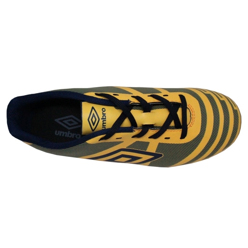 image_47f99ec7-3ec0-487e-b6dc-dc61035dc9db