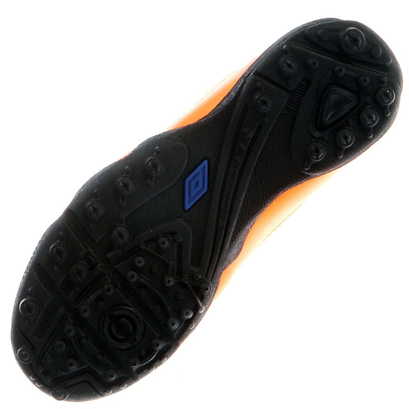 image_0b92d81f-36e5-4b3f-bb75-8e9c15b0f32d