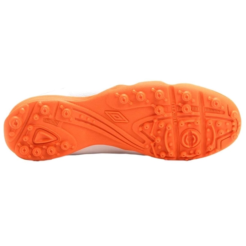 image_a0a0fe02-424f-437f-8f70-3e2c6abfb053