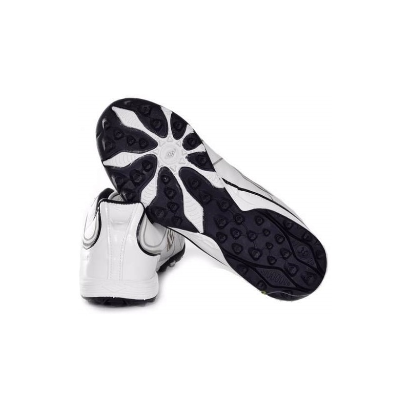 image_aacea070-7c1d-4f20-9663-e35653aad06e