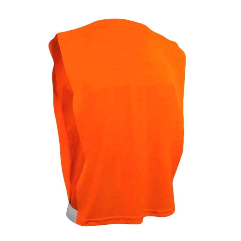 image_55f23813-71b2-4b0f-b112-31ce5ab1a439