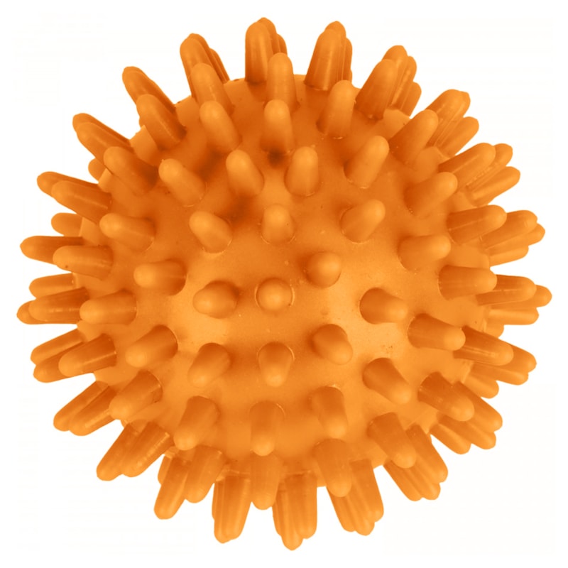 image_fabfb58a-e4ee-4e55-bd85-3ceaf7eed8ac