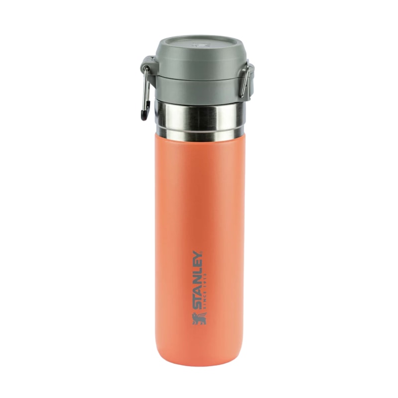 image_dc70c55a-ac25-413a-b117-22f946b7152e