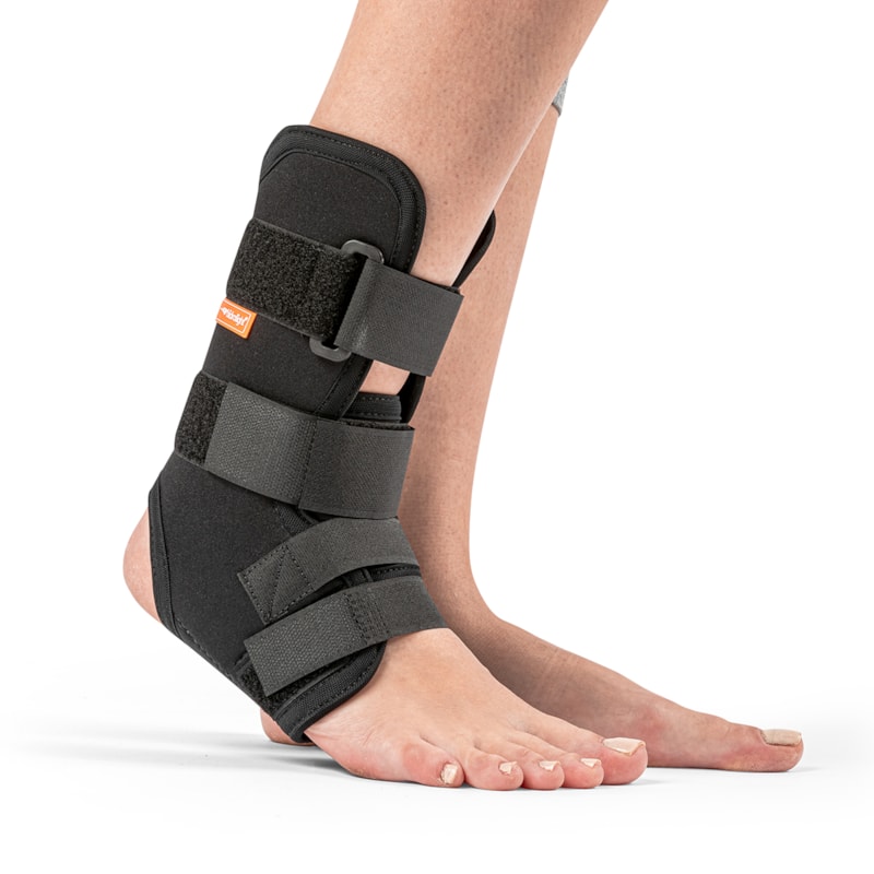 image_d343df2e-4d23-4cf3-87a8-cec40568f56d