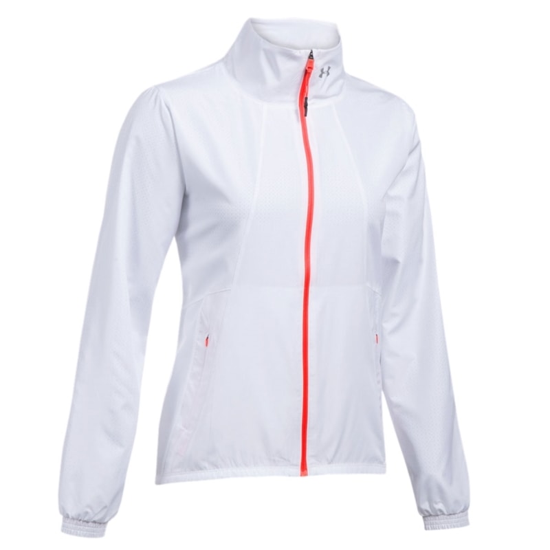 image_c55e0c26-5d3d-47a6-aa11-549e3d21cc09