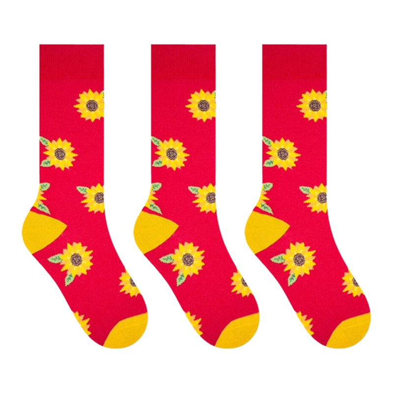 image_cd629084-b8ed-43ca-be01-b587efda93bb