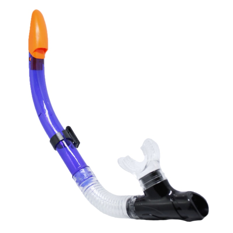 image_1dc4ca1d-0725-485e-81a3-621ceaf5a0ce