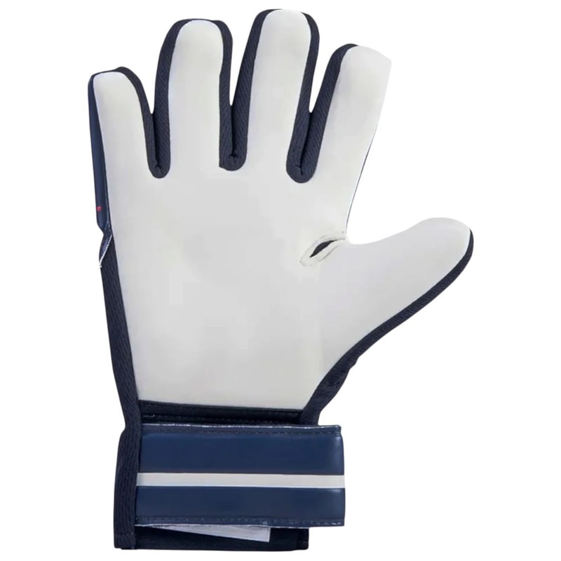 image_1579bce6-68c7-4d7d-8da0-263410feb9f9