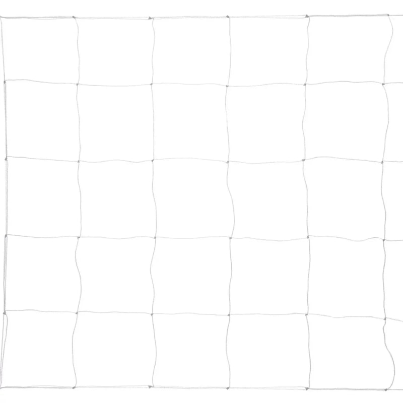 image_c52fe855-a881-4c5e-a9b5-f2c4b9c0191d