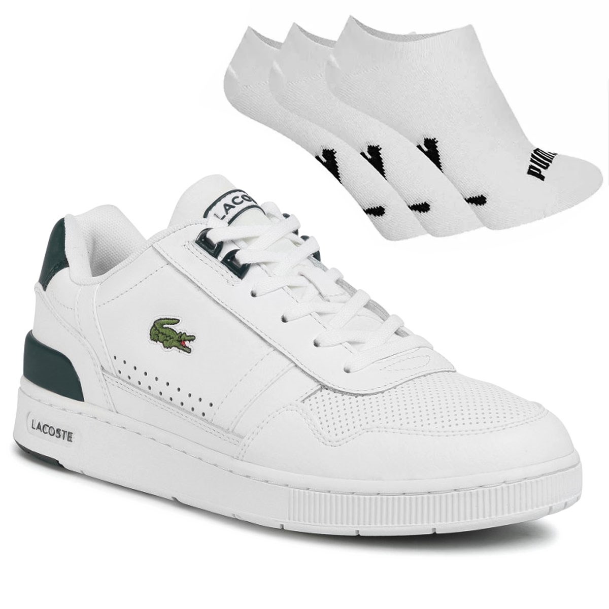 Tenis store lacoste esportivo