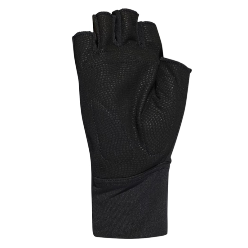 image_922f648d-d84d-4943-b9da-aa2368a4d566