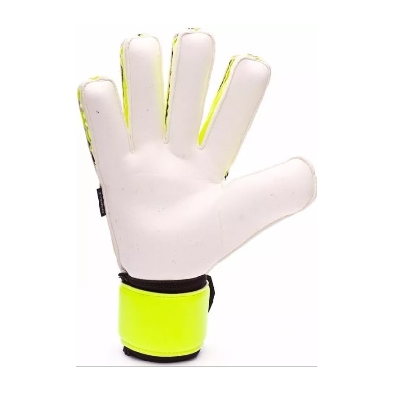 image_f409c0cf-7e8c-48f7-bf4c-f4fe56304c2a