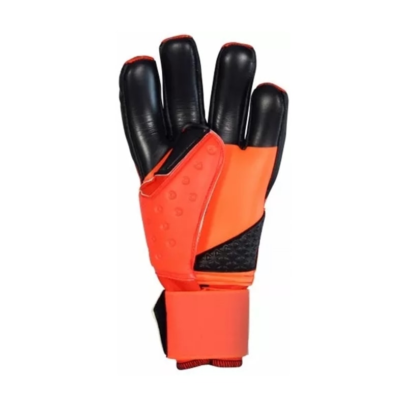 image_9b65c42d-6e93-4967-94ee-16e0a1b71dac