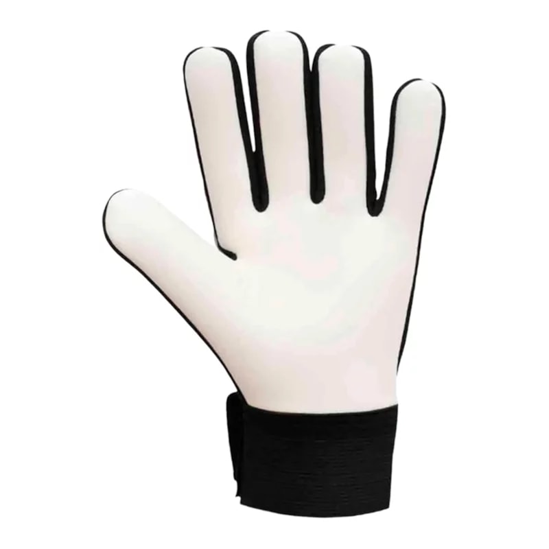 image_a7719f2a-5a48-4e75-b3a5-27d11f873183