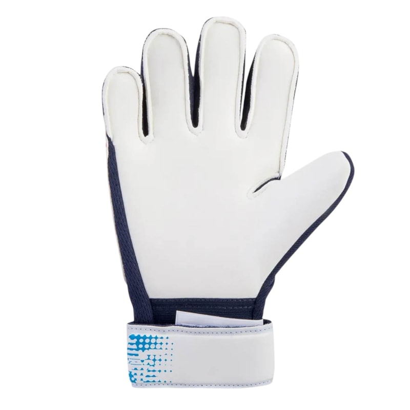 image_407129cf-a824-470b-bfa5-1f23c01350eb