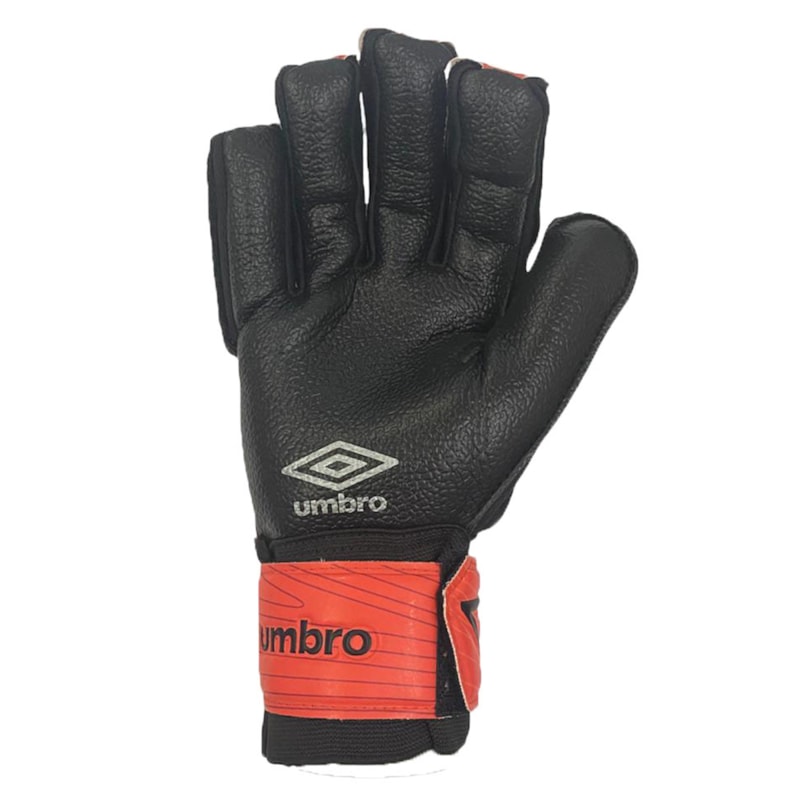 image_d7a26b39-7162-470c-a685-6e3493f4d2b5