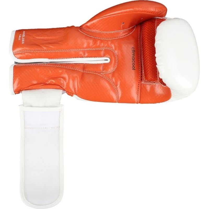 image_263da8ec-c7f4-46e6-b7fa-6f6484608e17