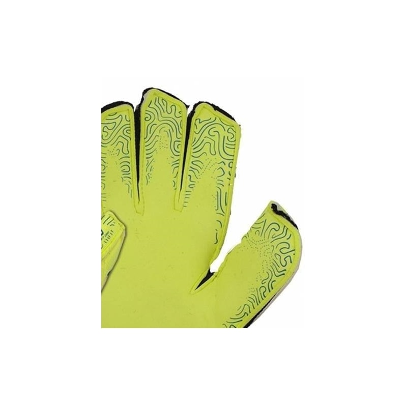 image_4f54bf61-09d9-4468-ba58-32c596909942