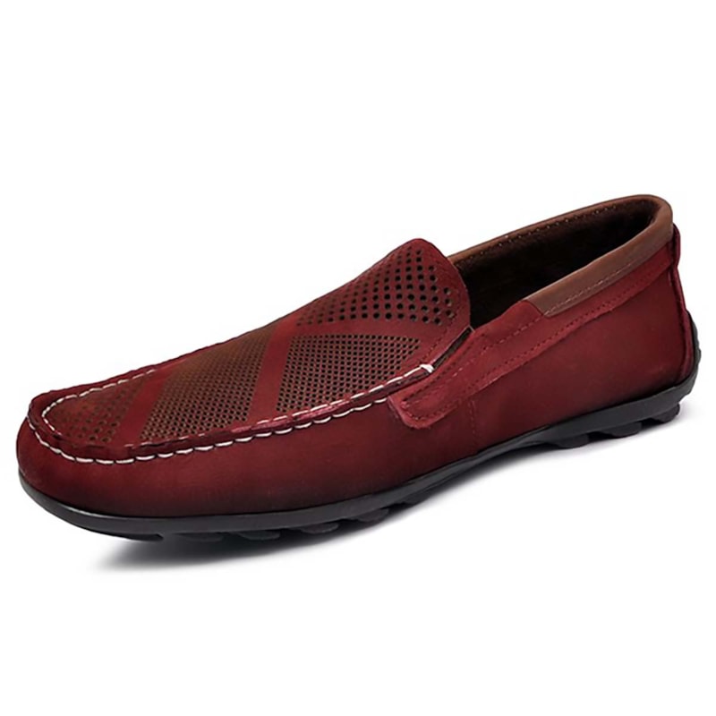 image_3567004e-592d-41e8-9bfb-66ac6a9601f2