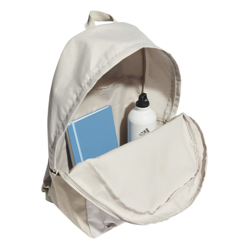 image_c372e8e1-c39e-462a-9ed3-2834eadb9f77