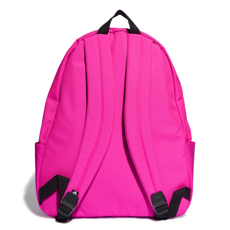 image_2b280fe1-a578-4f4c-bc87-56e70d316350