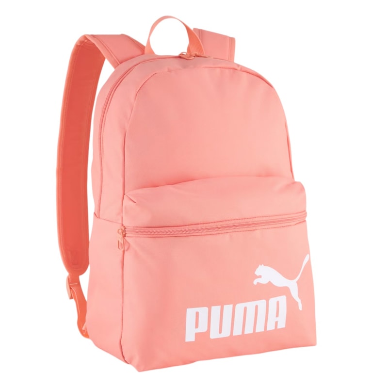 image_8cc03bd6-b8ab-4192-9c90-cc521191cb56