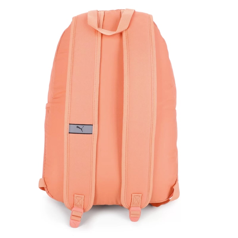 image_afb09671-f205-4ca6-be85-3b3e39512c9e