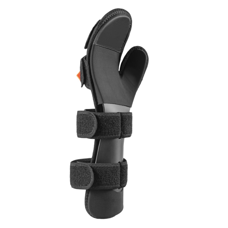 image_5224f34e-6285-4952-83af-b183eca5cde2